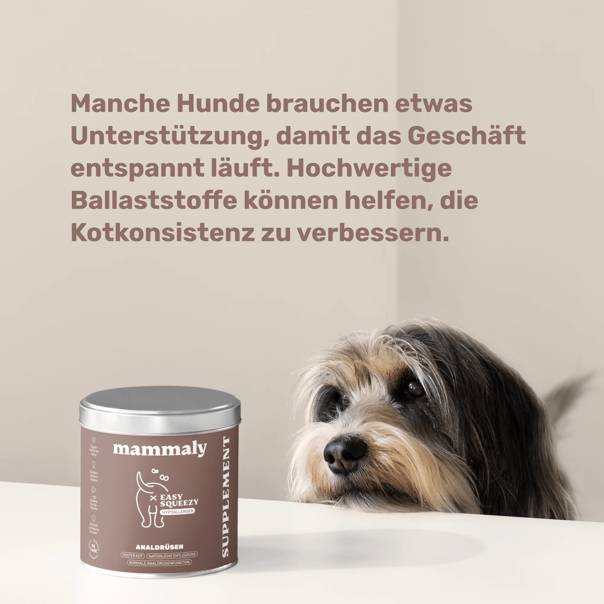 Vorschaubild 8