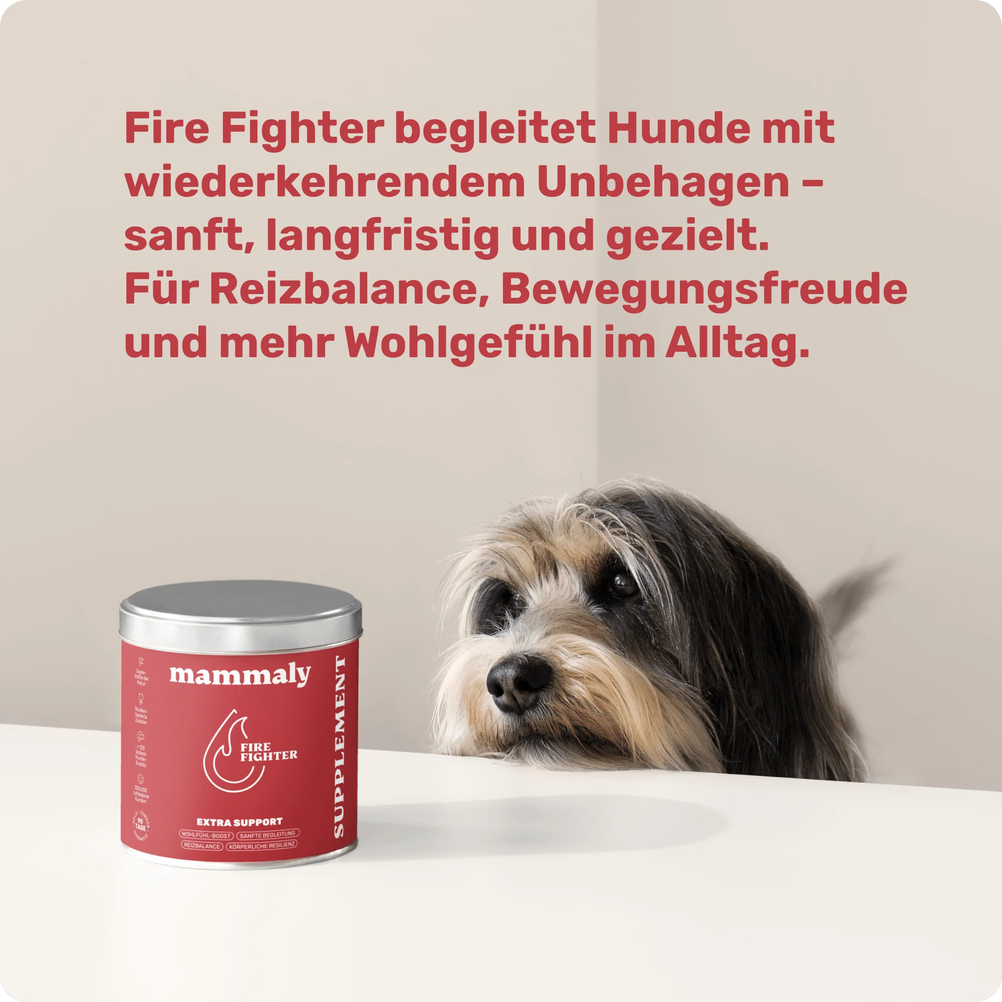 Vorschaubild 7