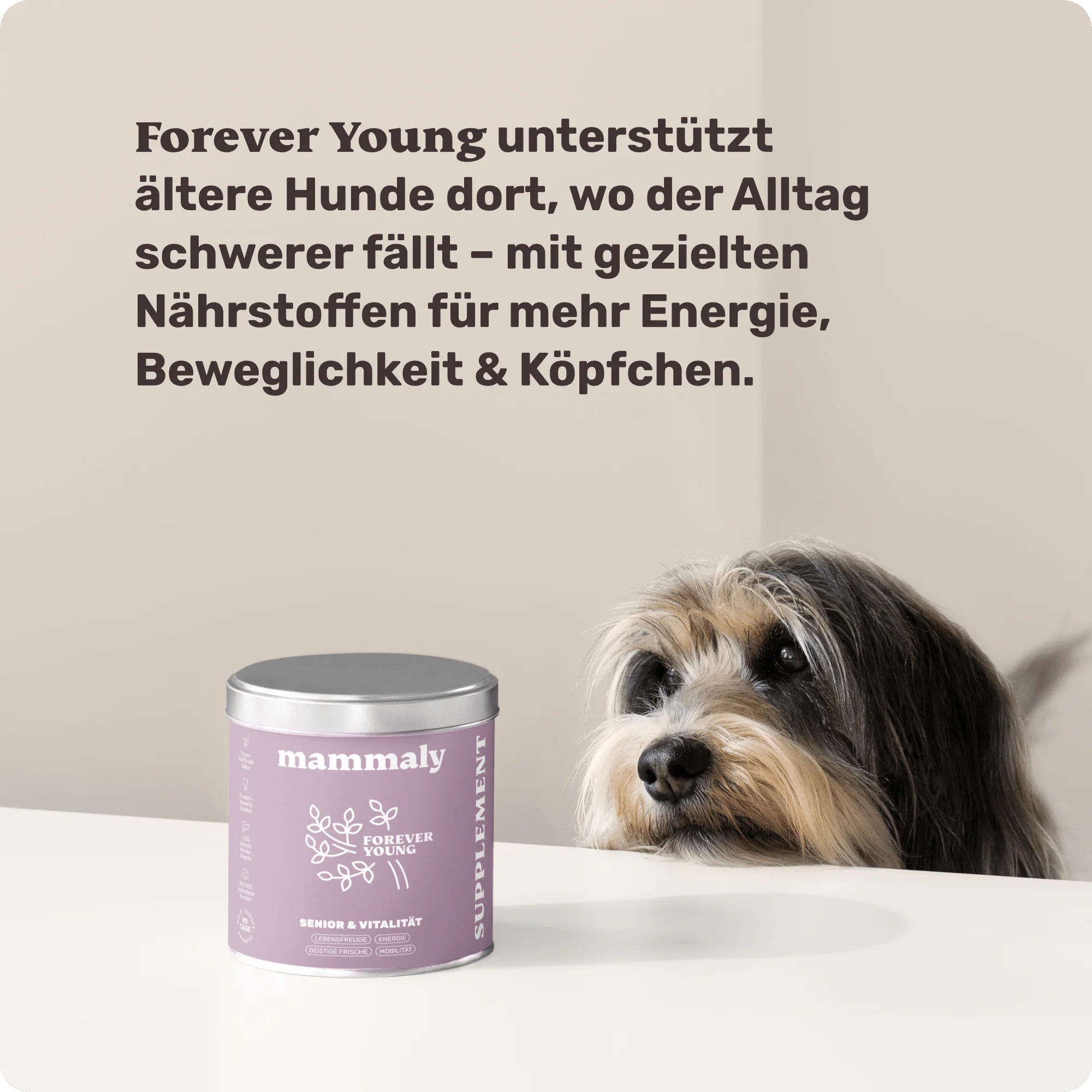 Vorschaubild 7