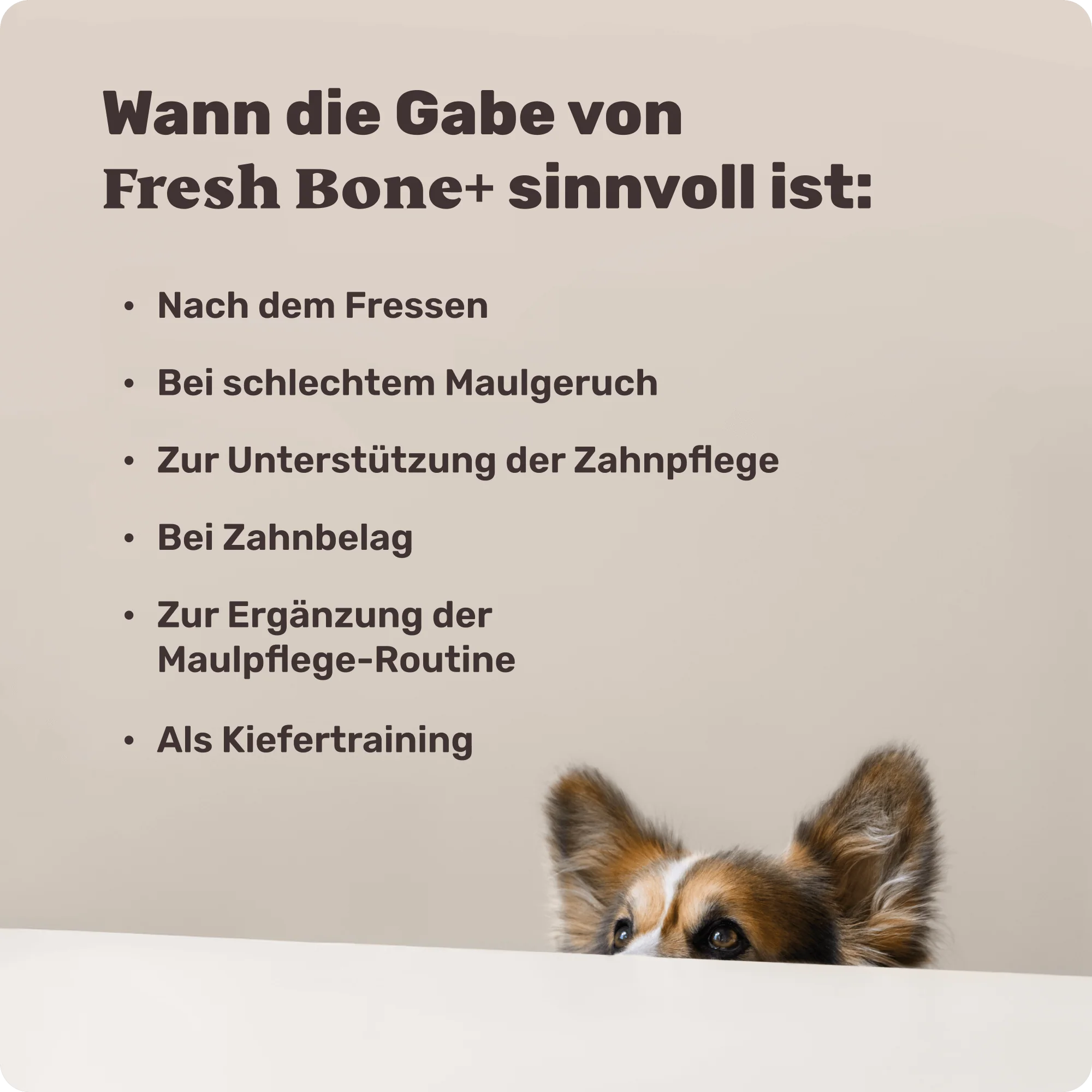 Vorschaubild 7