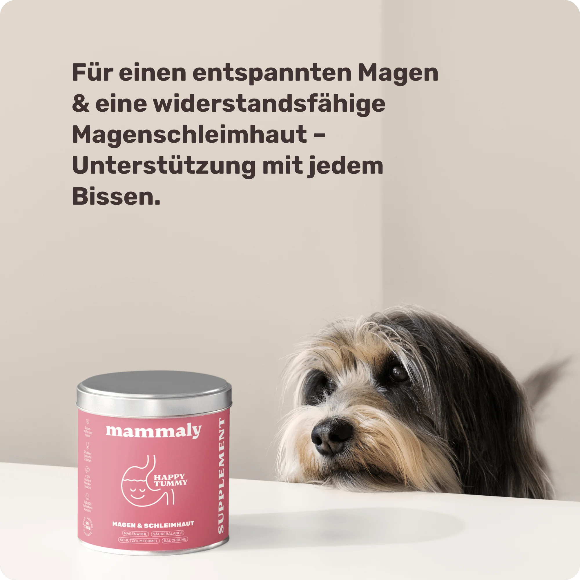 Vorschaubild 6