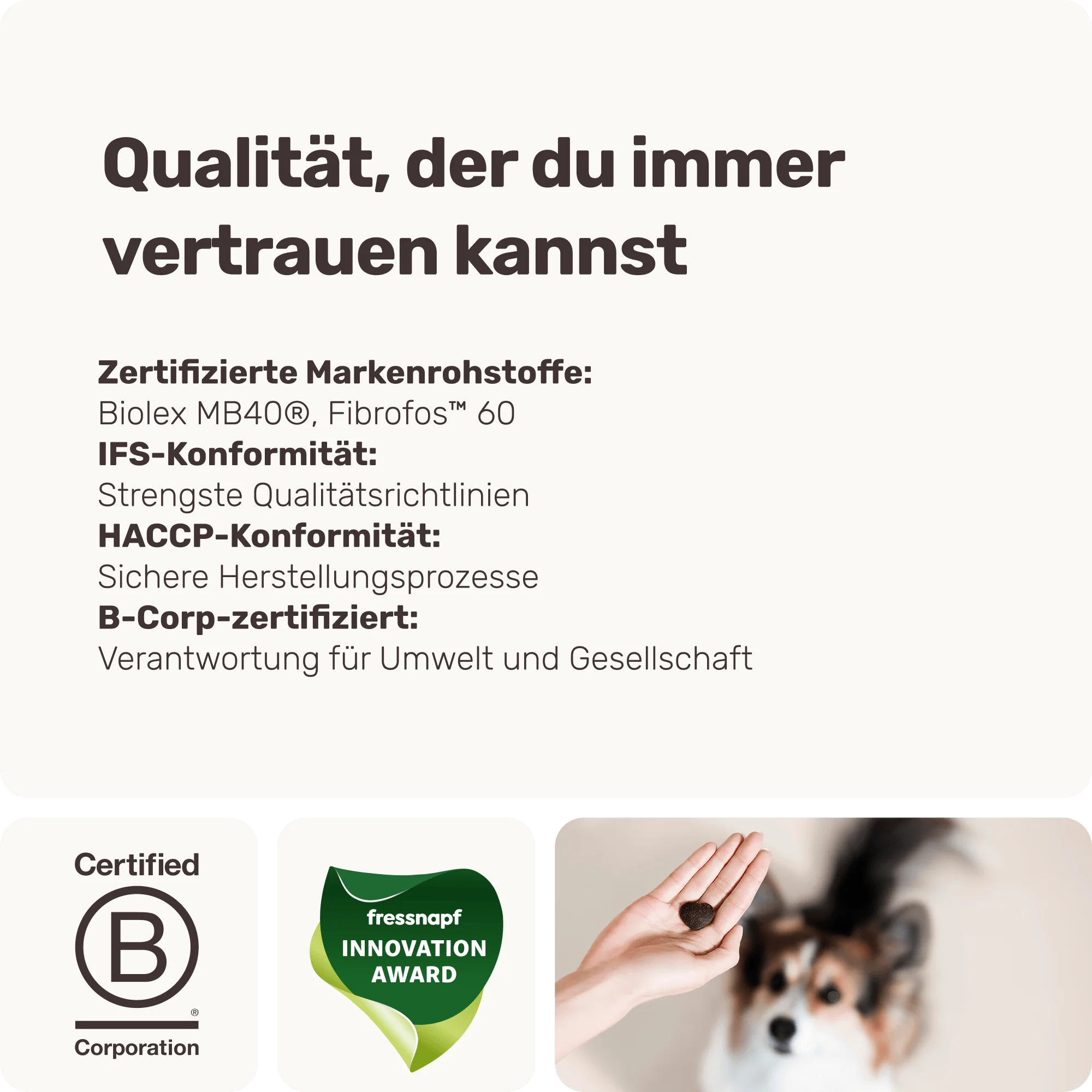 Vorschaubild 8