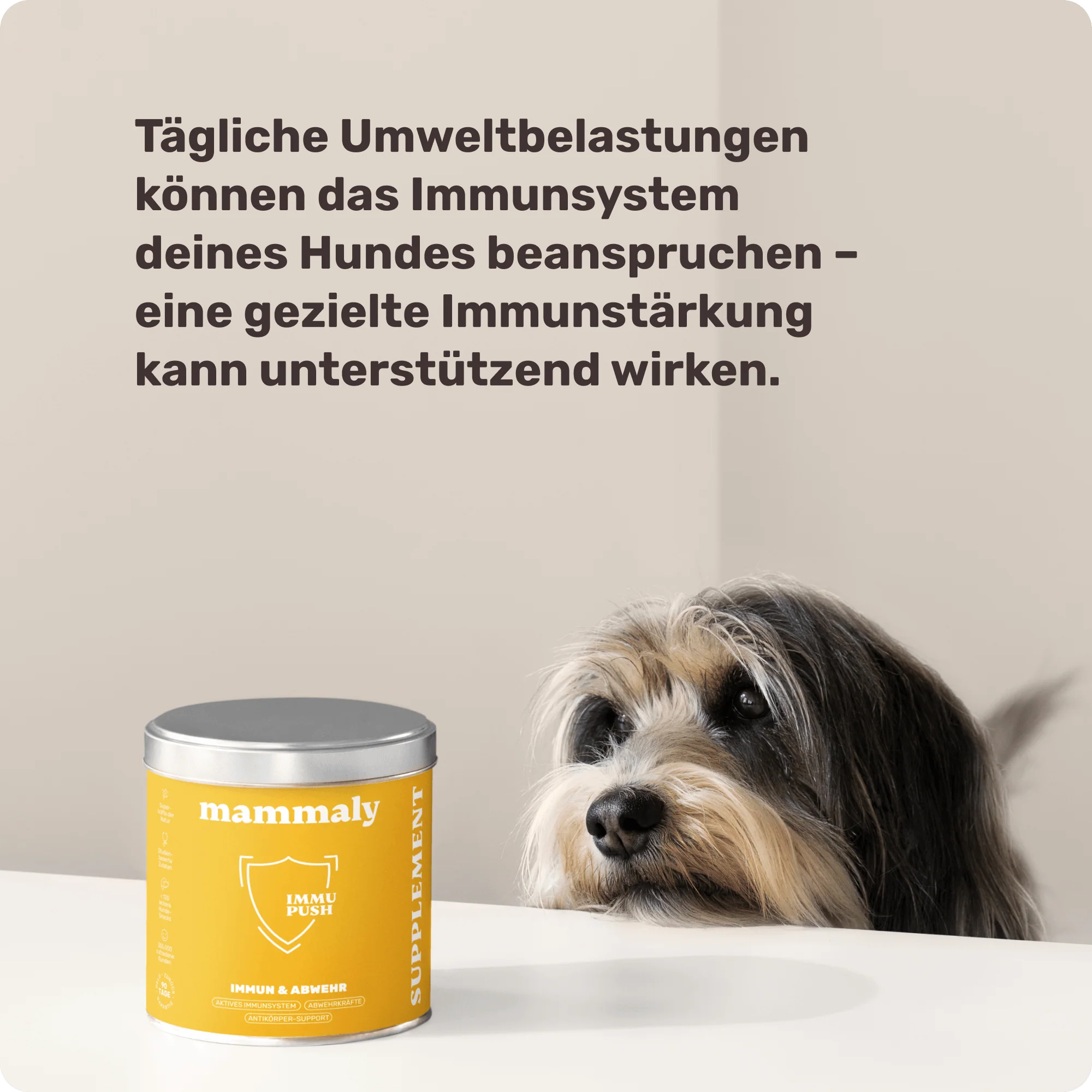 Vorschaubild 7