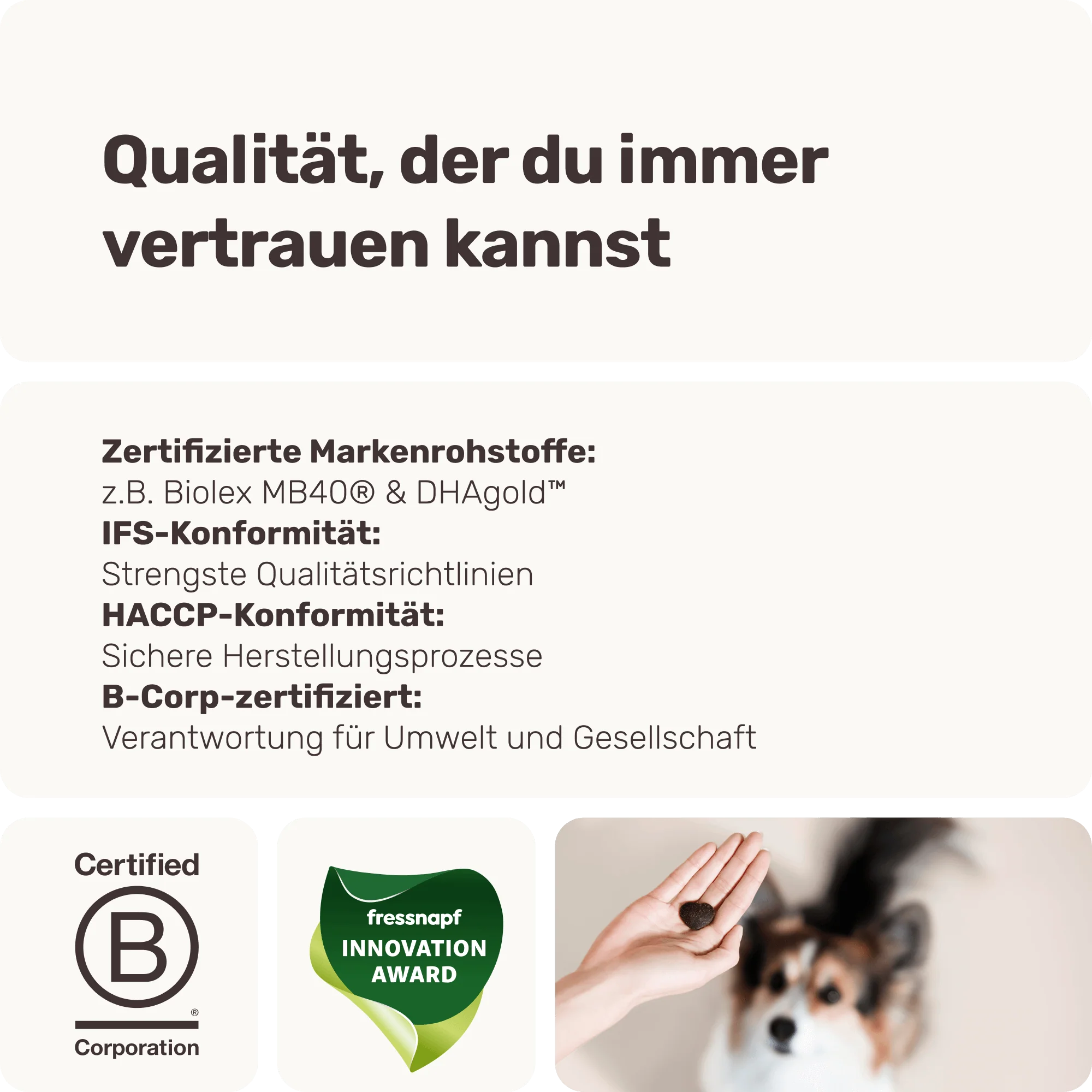 Vorschaubild 8