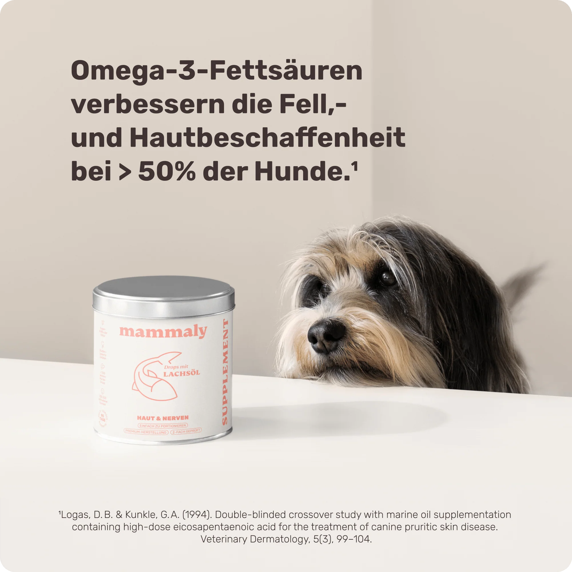 Vorschaubild 8