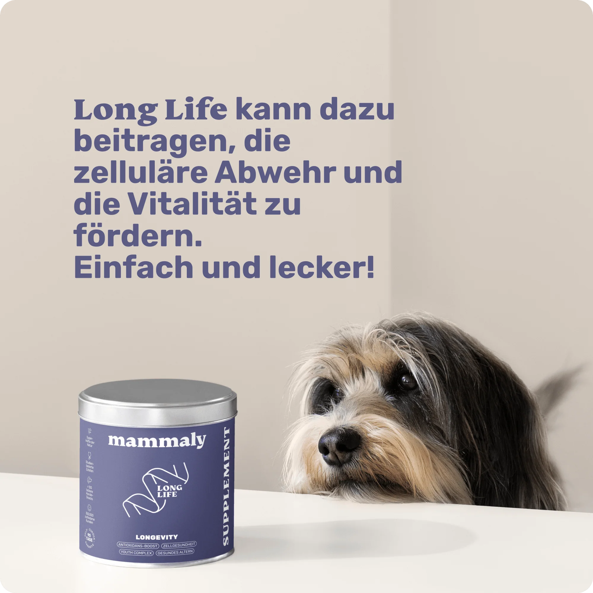 Vorschaubild 7