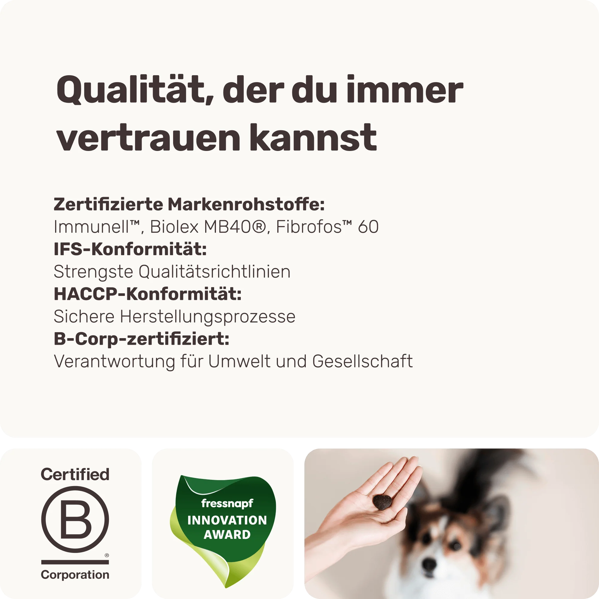 Vorschaubild 8