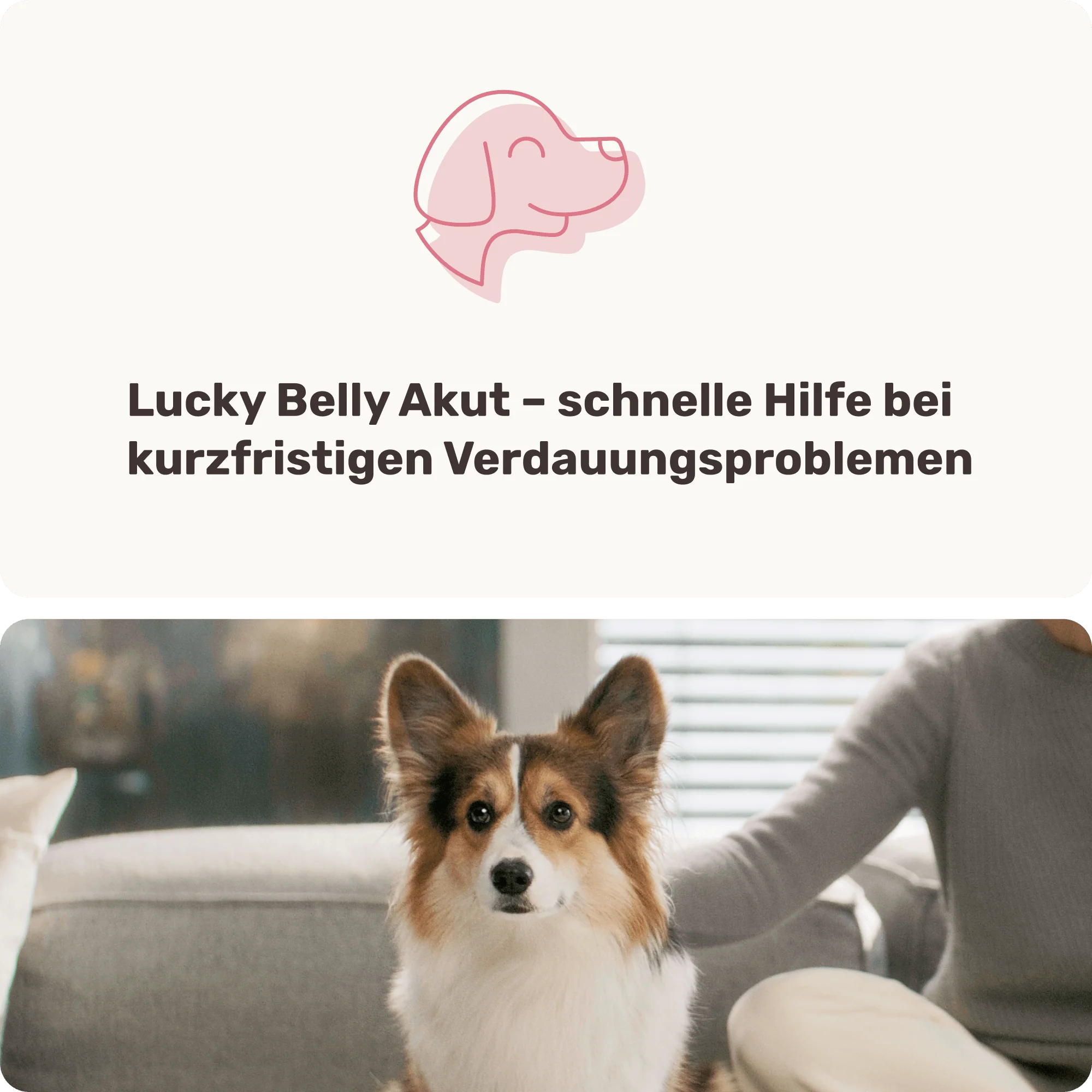 Vorschaubild 8