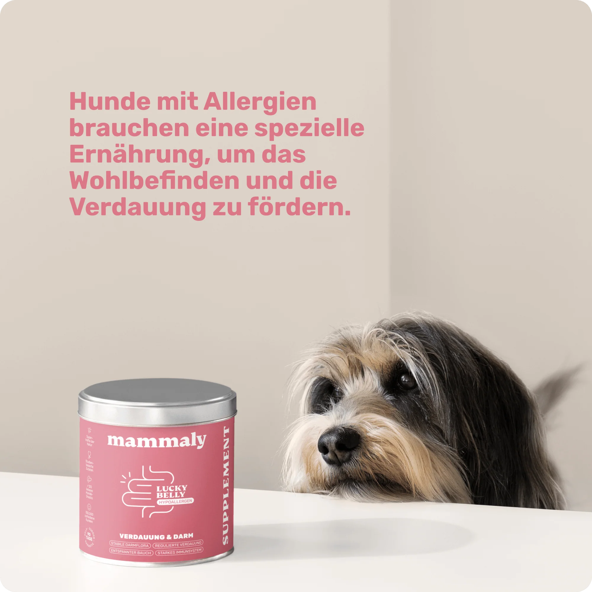 Vorschaubild 7