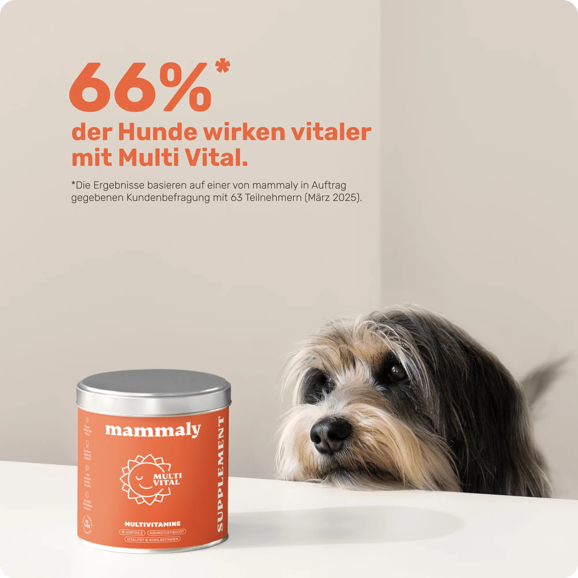 Vorschaubild 7