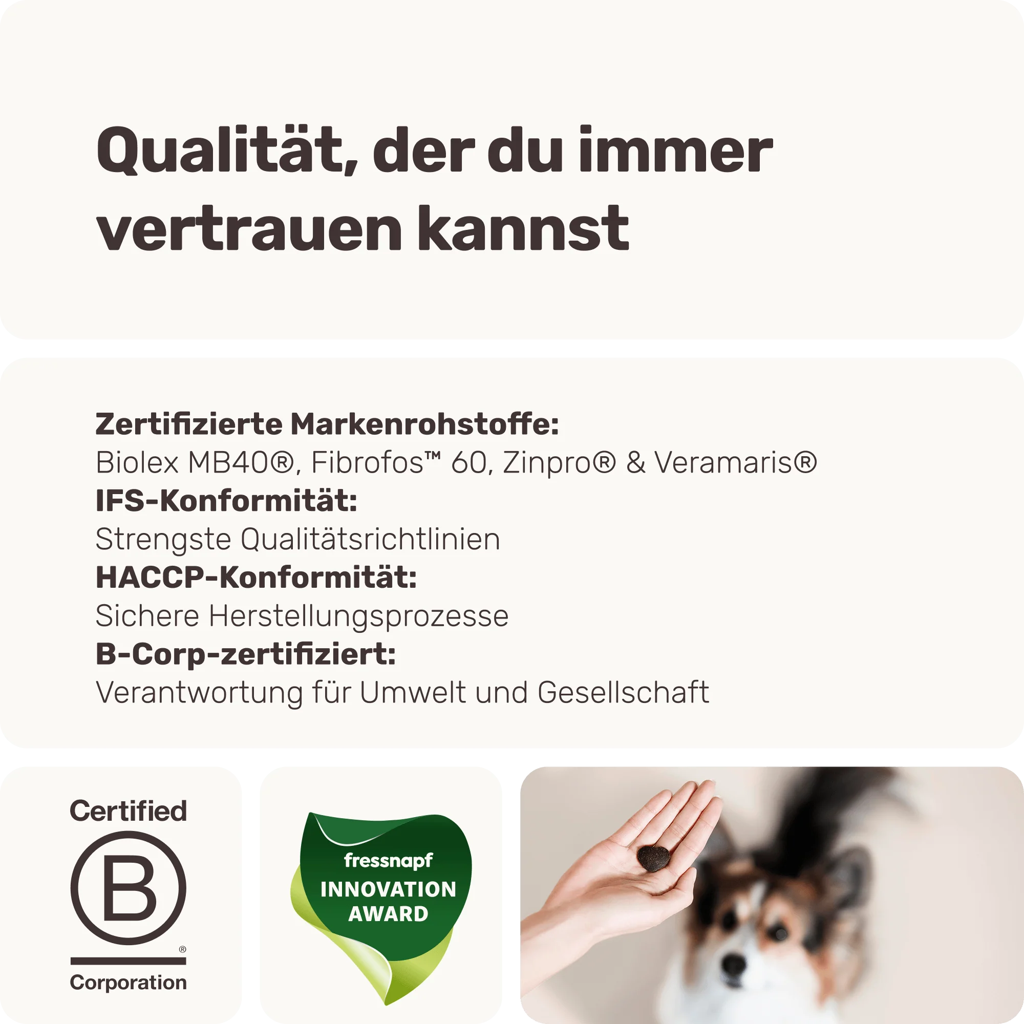 Vorschaubild 8
