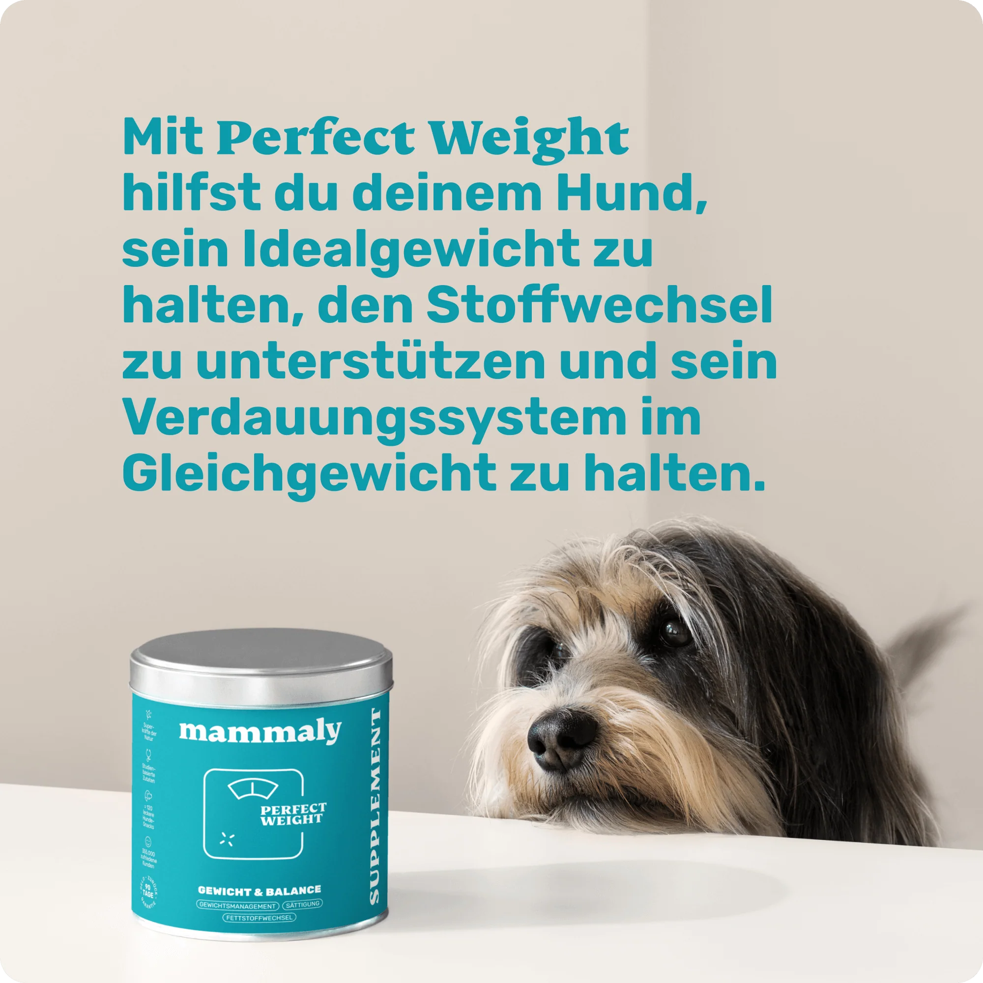 Vorschaubild 7