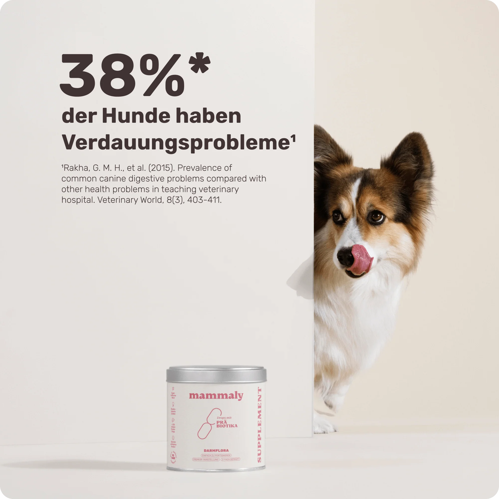 Vorschaubild 8