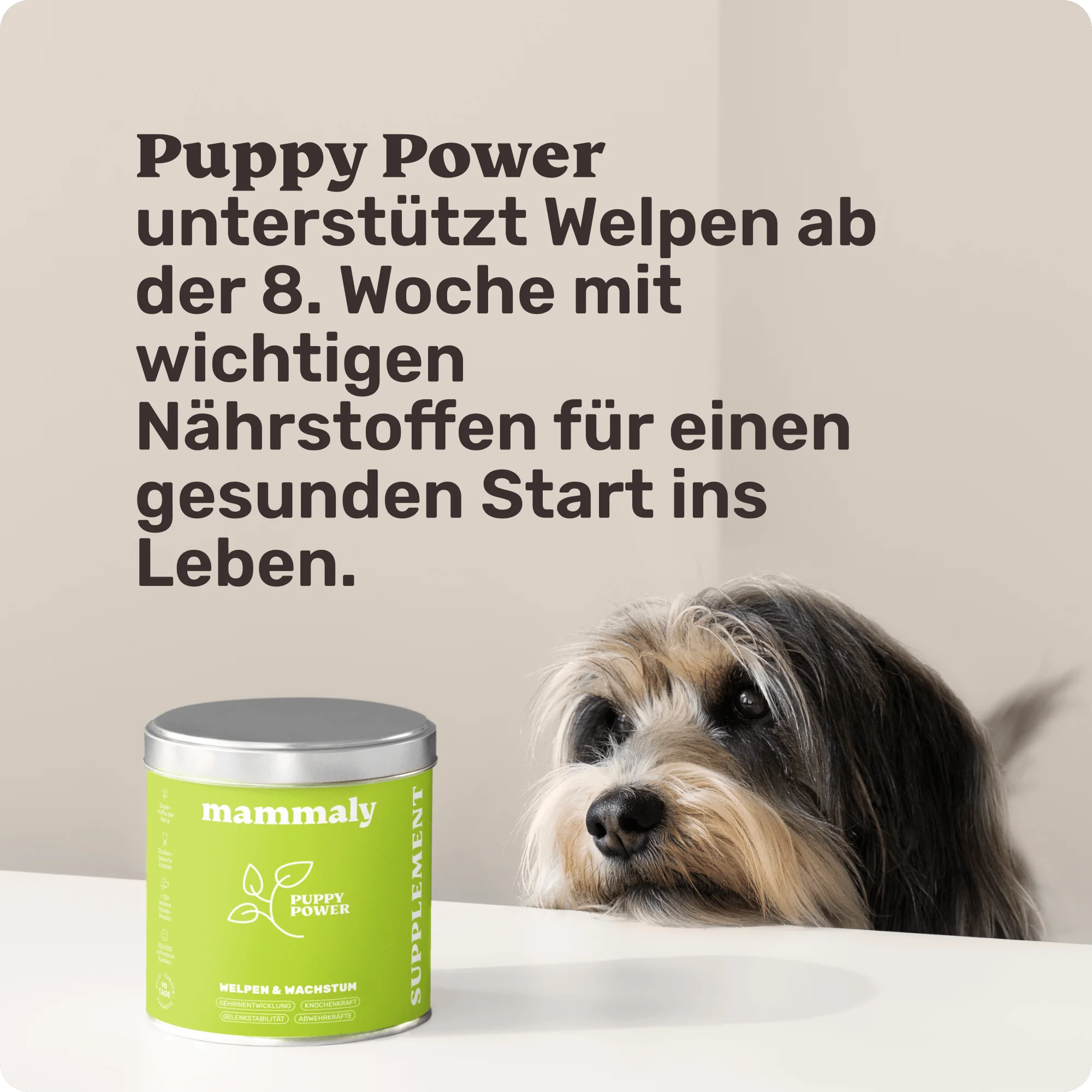Vorschaubild 7