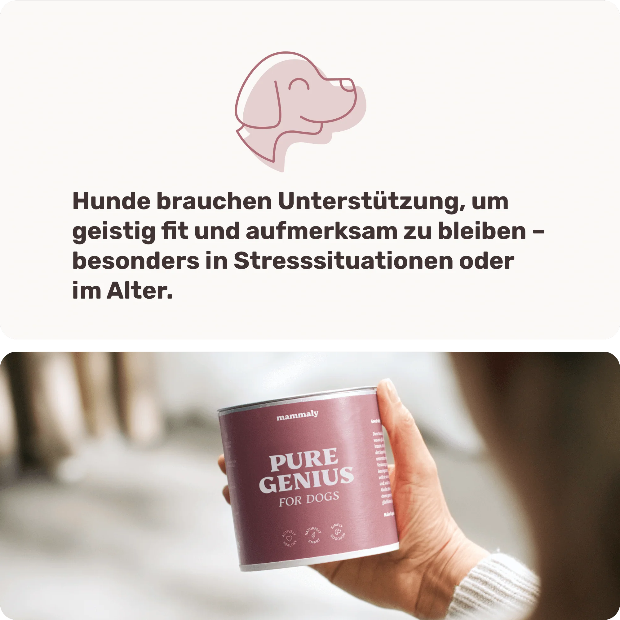 Vorschaubild 8