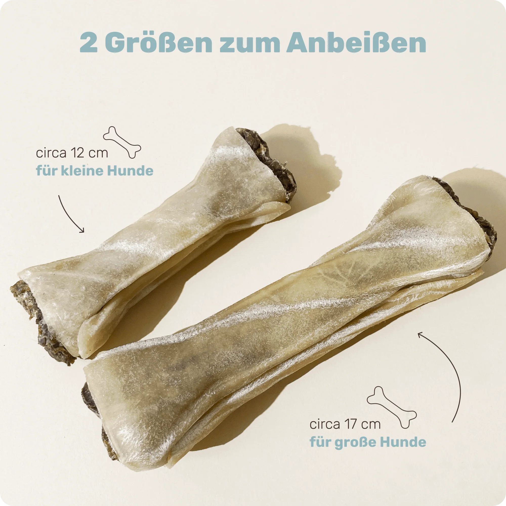 Vorschaubild 5