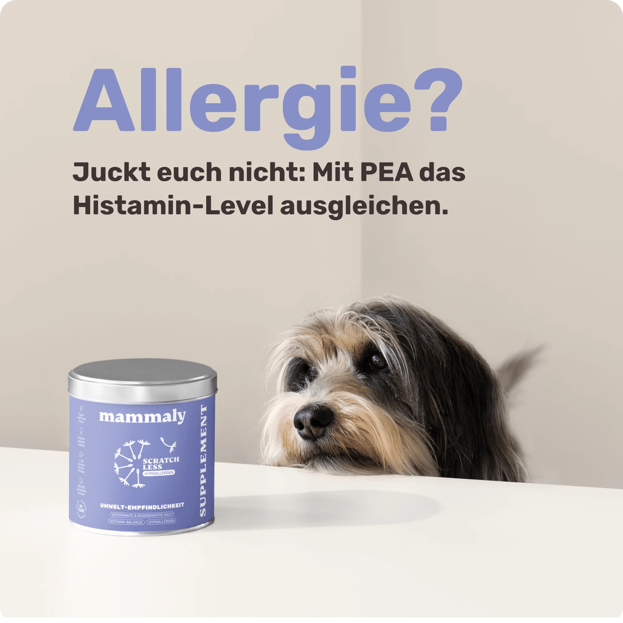 Vorschaubild 7