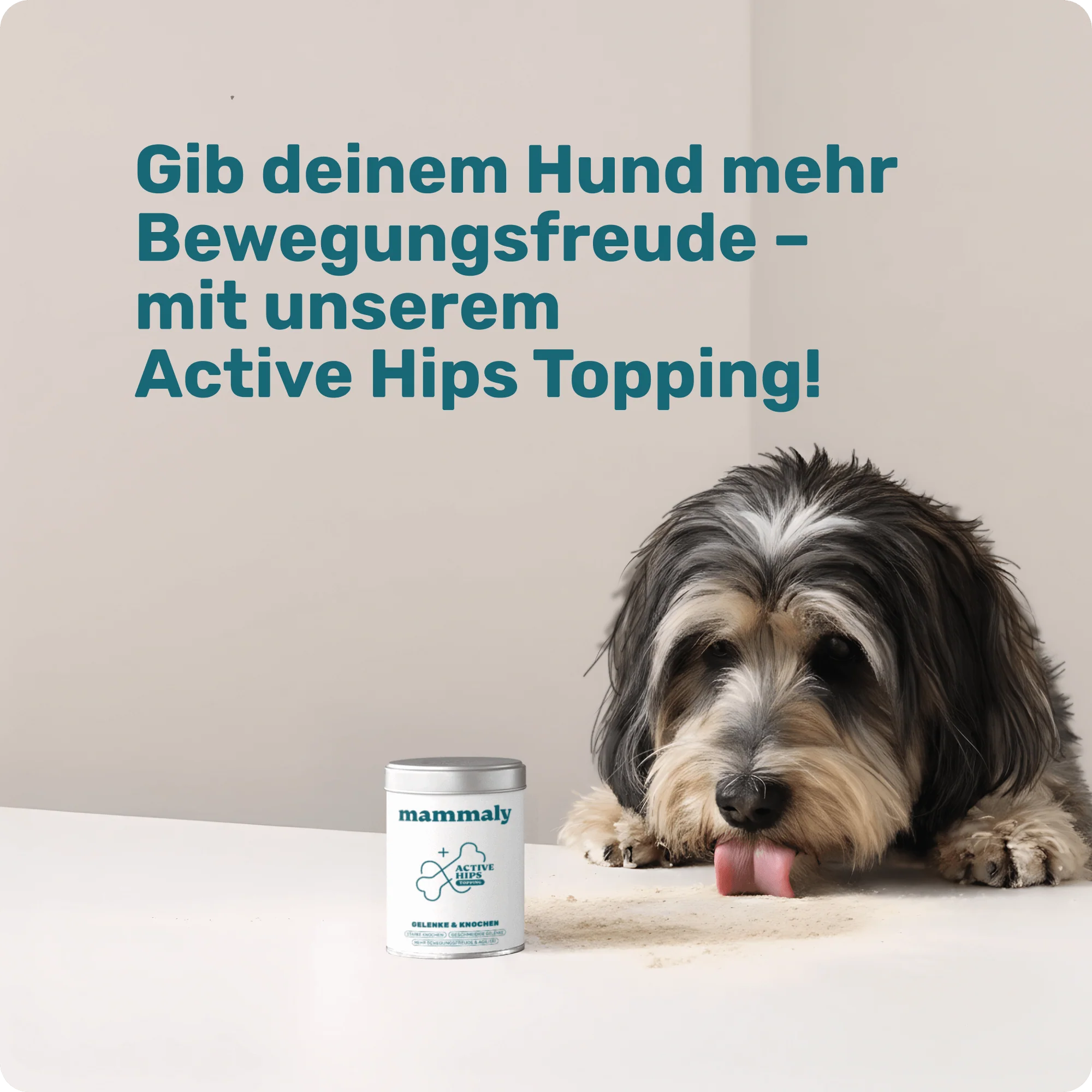 Vorschaubild 6