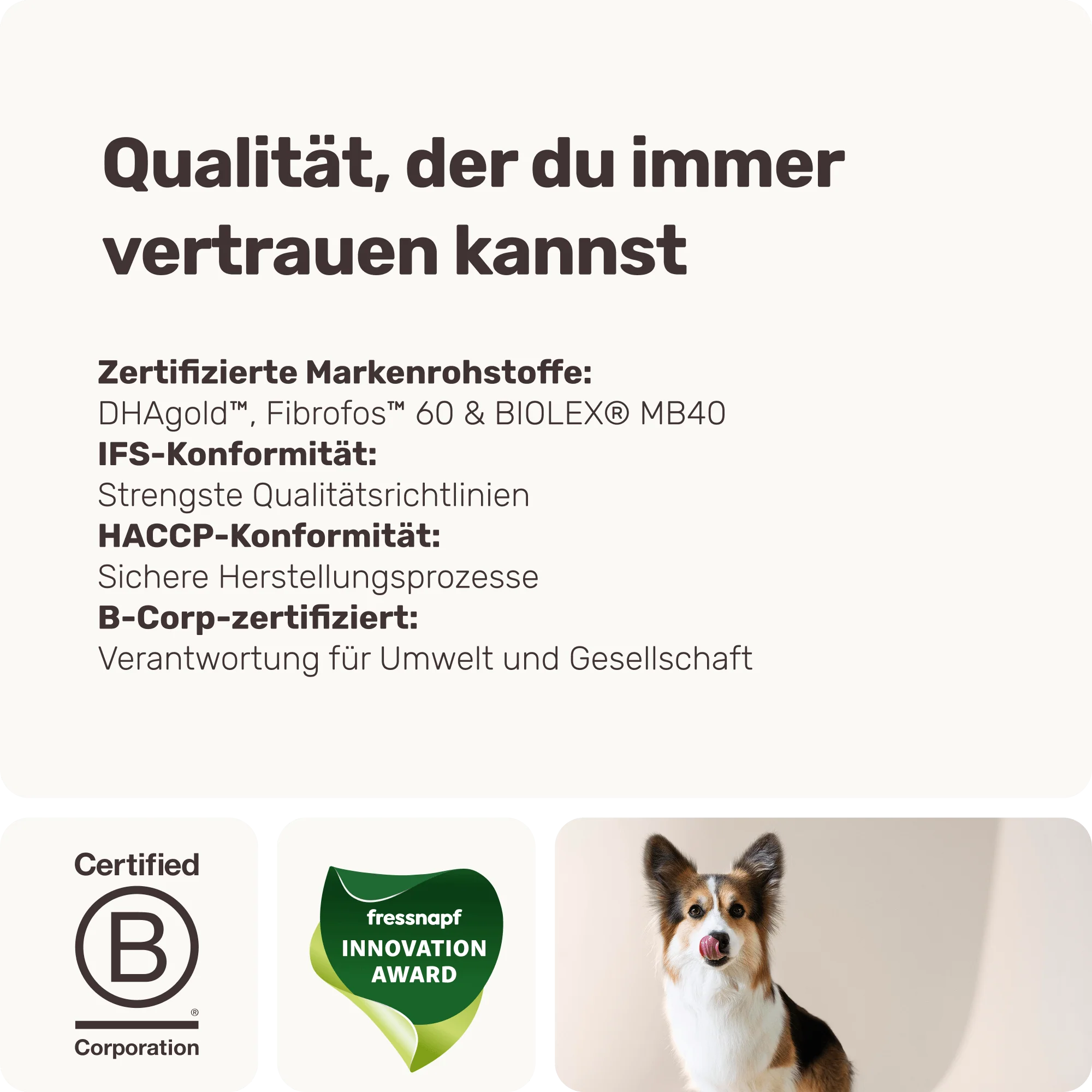 Vorschaubild 9