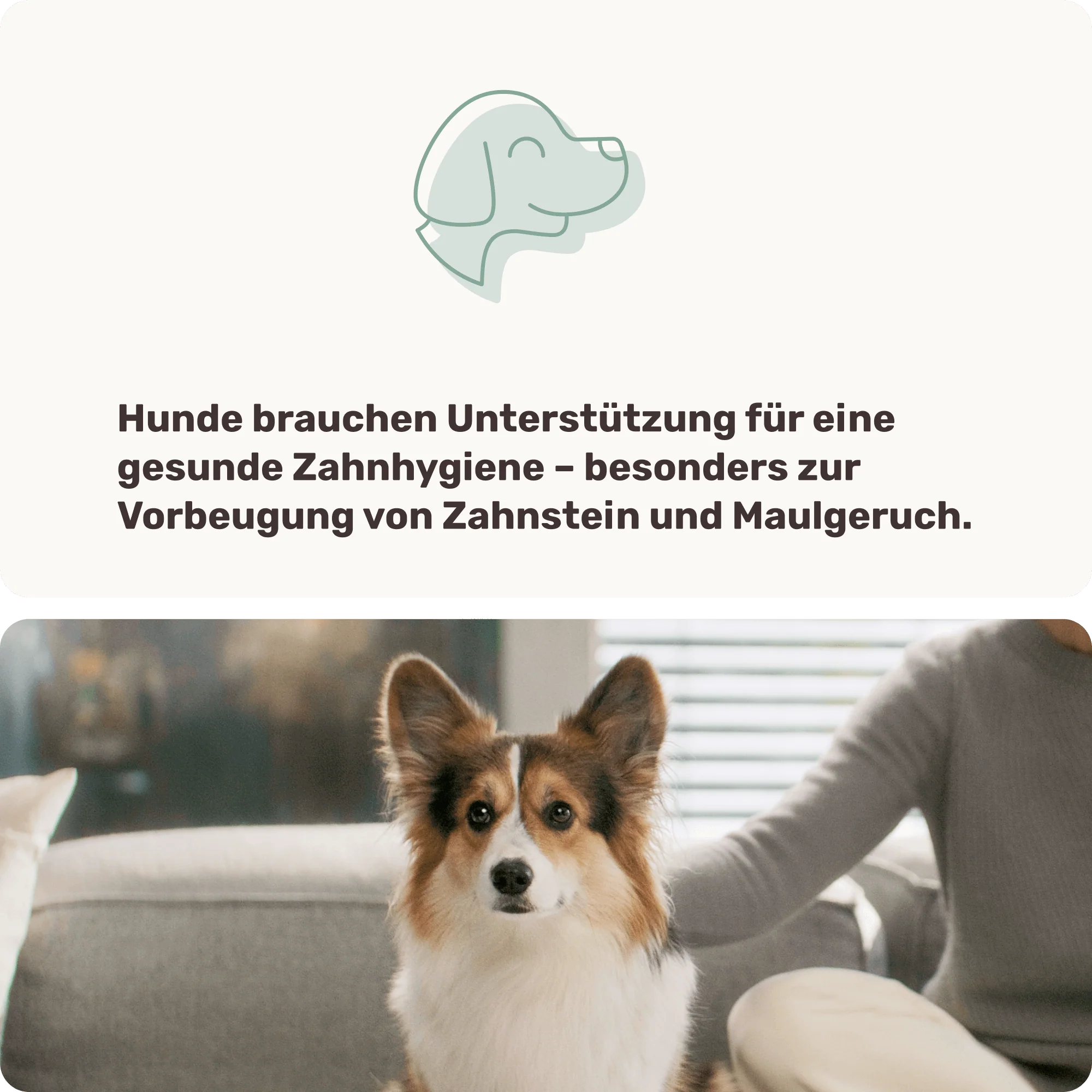 Vorschaubild 7