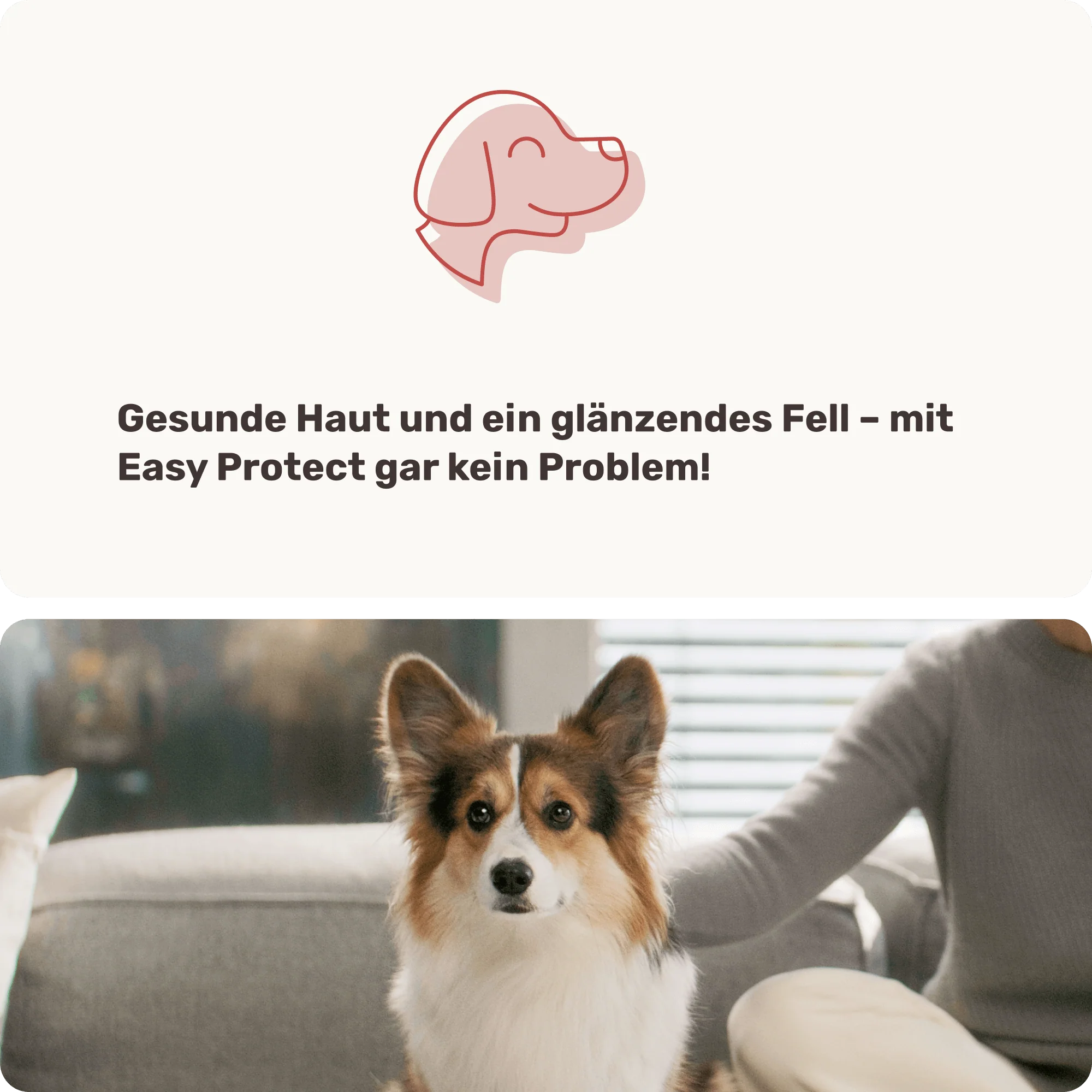 Vorschaubild 8