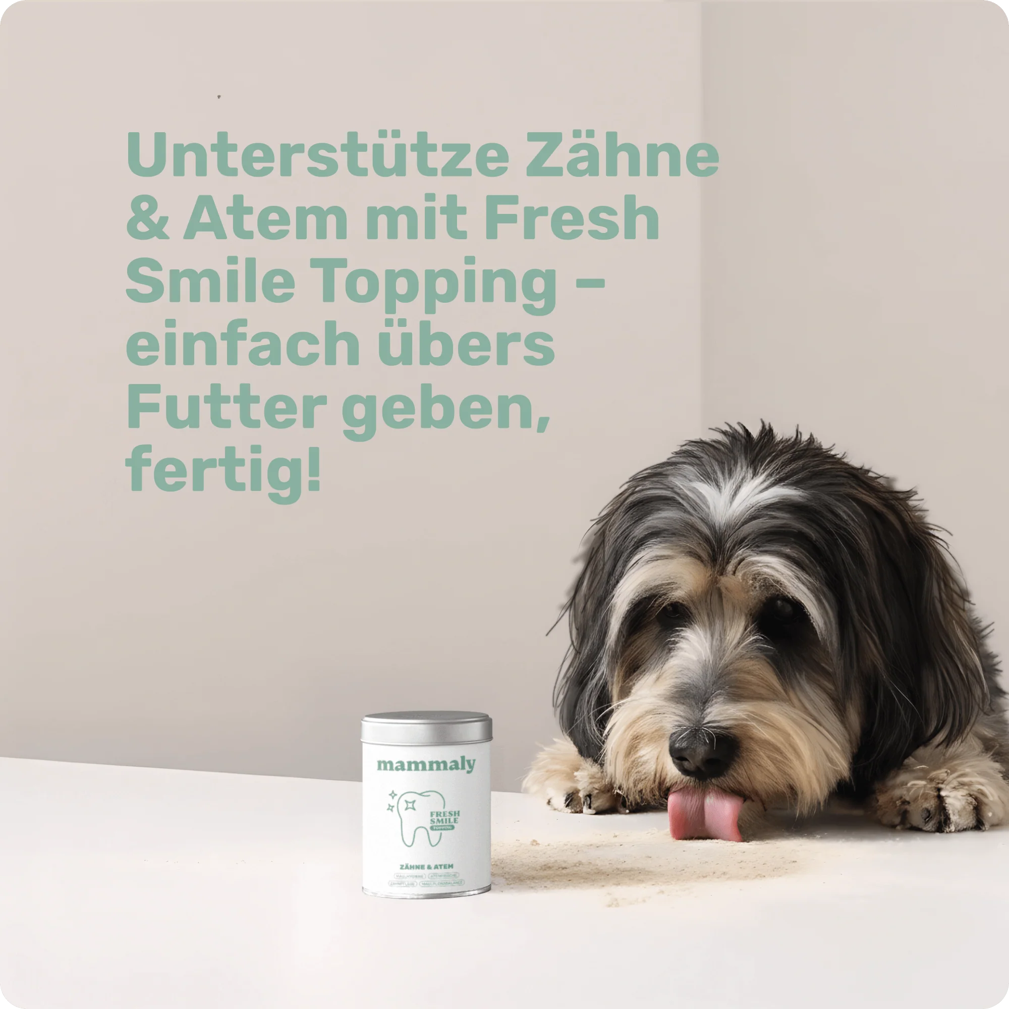 Vorschaubild 6