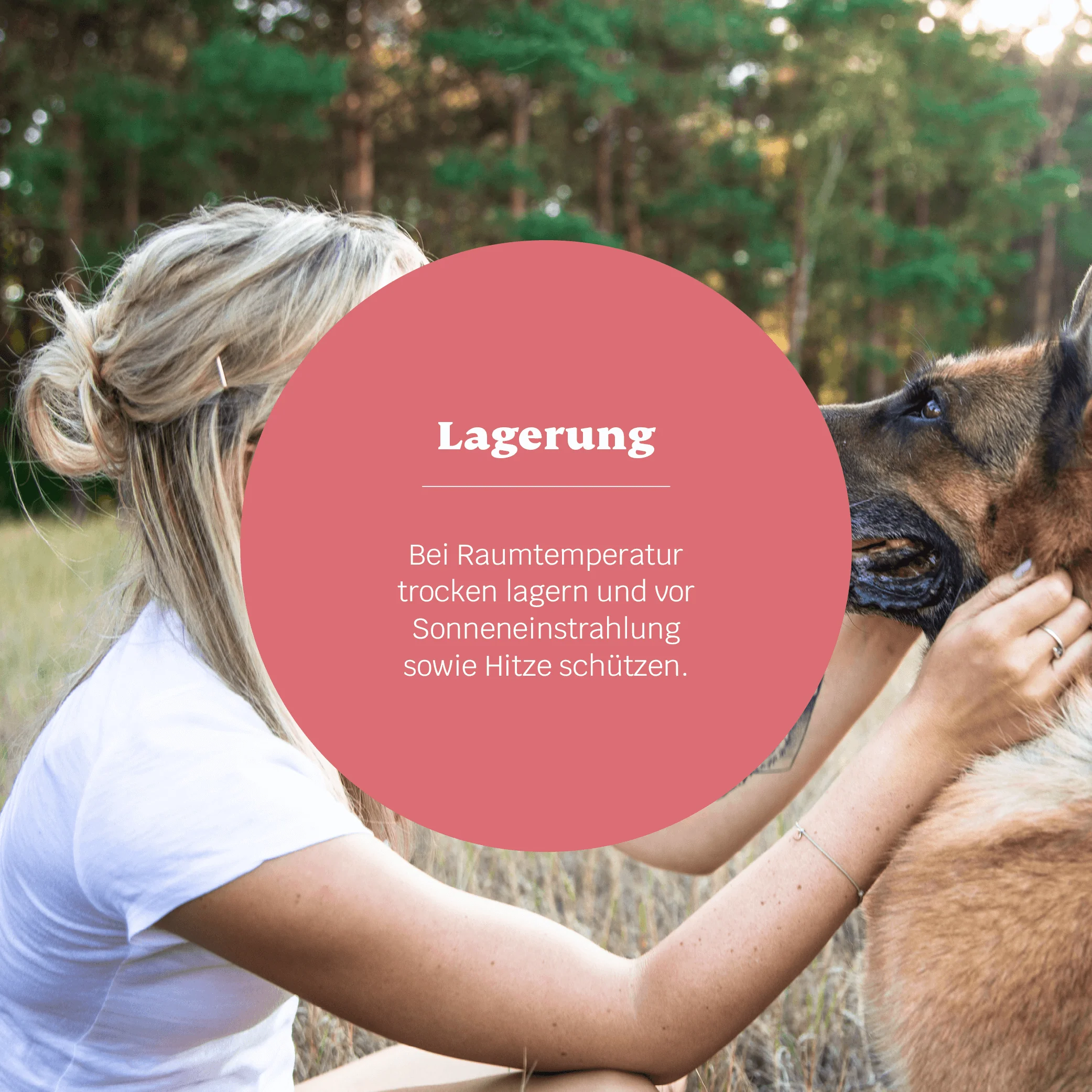 Vorschaubild 7