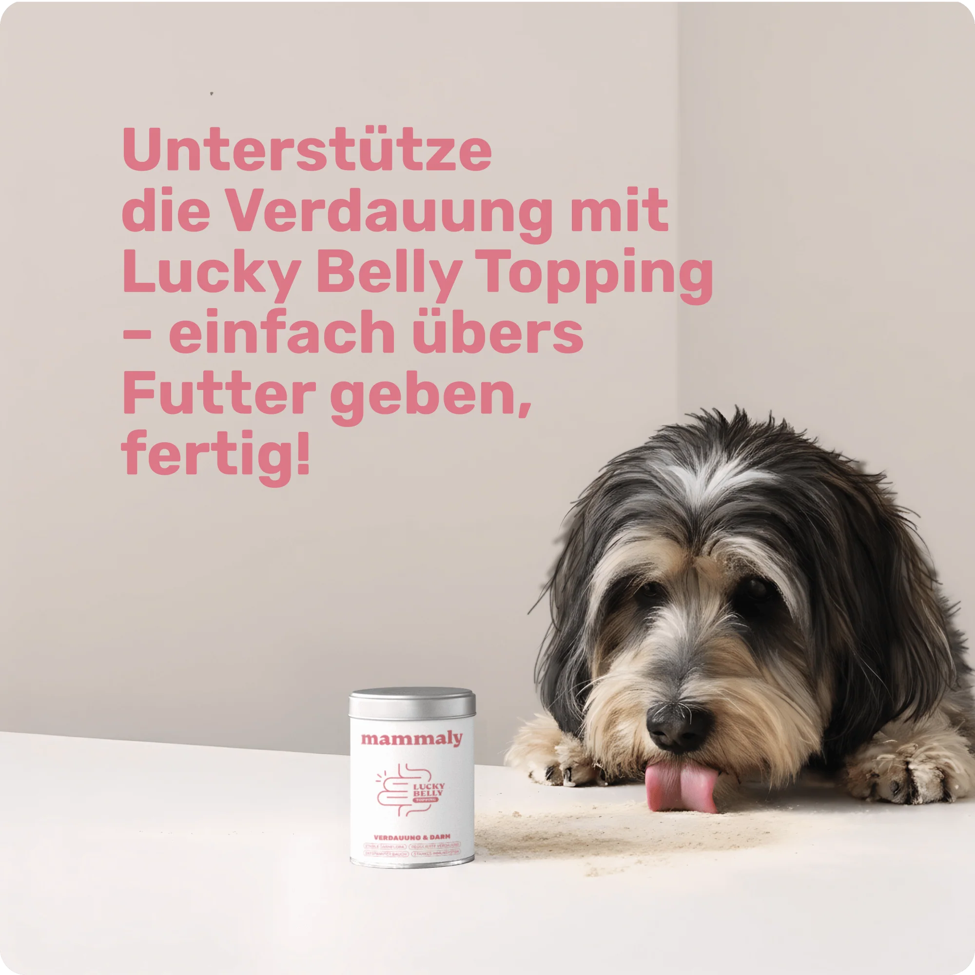 Vorschaubild 6