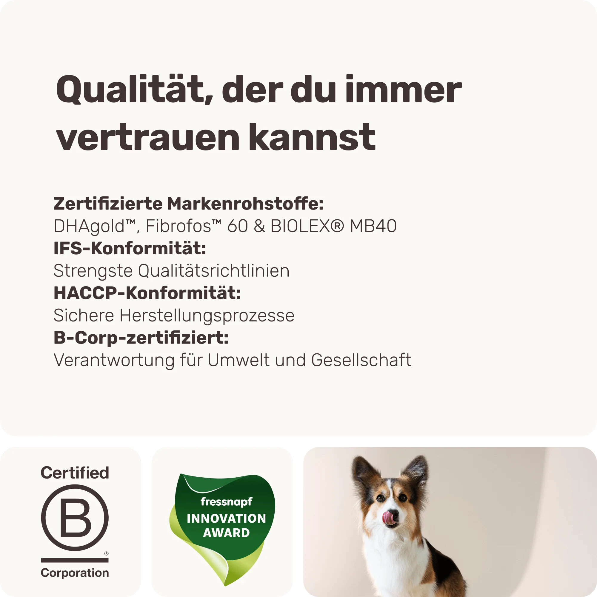 Vorschaubild 9