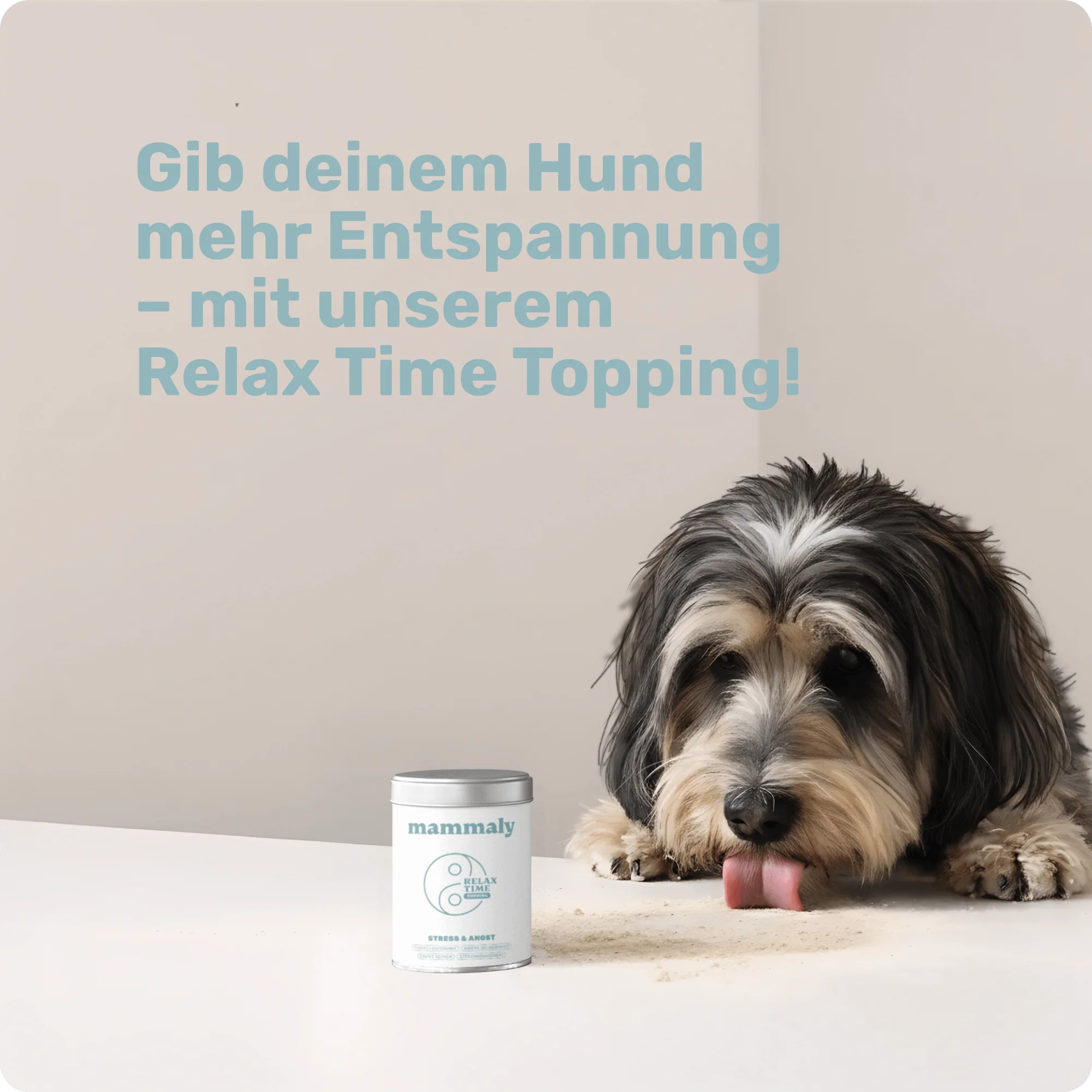 Vorschaubild 6