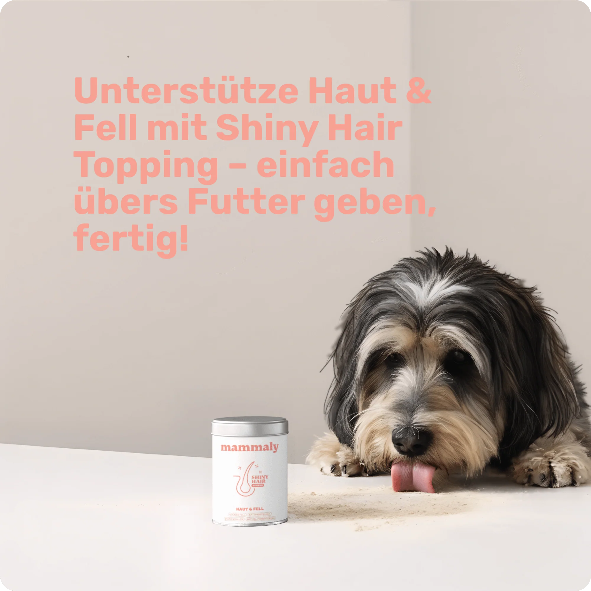 Vorschaubild 6