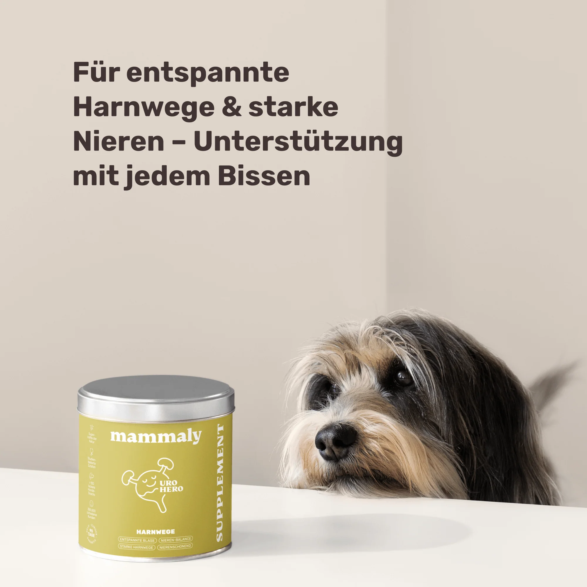Vorschaubild 8